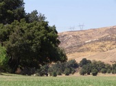 Enlarge photo 81