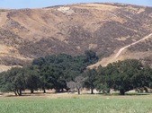 Enlarge photo 82