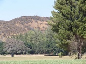 Enlarge photo 83