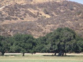 Enlarge photo 84