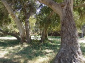 Enlarge photo 93