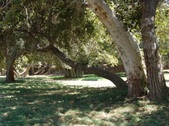 Enlarge photo 94