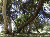 Enlarge photo 95