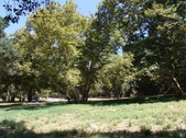 Enlarge photo 97