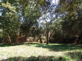 Enlarge photo 98