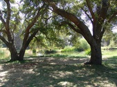 Enlarge photo 122