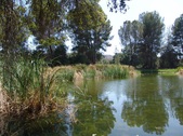 Enlarge photo 129