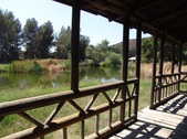 Enlarge photo 140