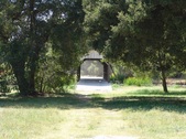 Enlarge photo 145