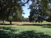 Enlarge photo 150