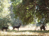 Enlarge photo 82