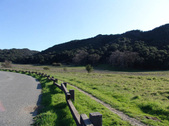Enlarge photo 29