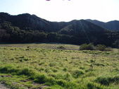 Enlarge photo 32