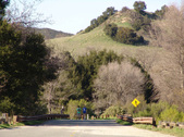 Enlarge photo 40