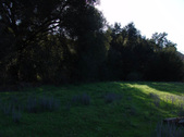 Enlarge photo 42