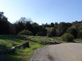 Enlarge photo 44