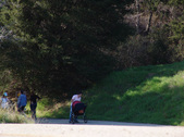 Enlarge photo 52