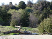 Enlarge photo 54