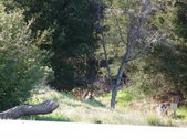 Enlarge photo 56