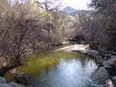 Enlarge photo 58