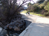 Enlarge photo 59