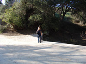 Enlarge photo 62