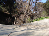 Enlarge photo 64