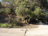 Enlarge photo 65