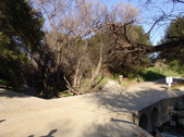 Enlarge photo 68