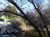 Enlarge photo 70