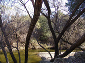 Enlarge photo 72