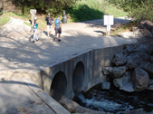 Enlarge photo 74