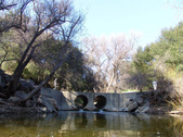 Enlarge photo 78
