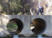 Enlarge photo 80