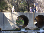 Enlarge photo 82