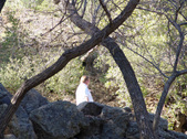 Enlarge photo 85