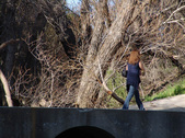 Enlarge photo 88