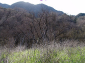 Enlarge photo 90