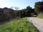 Enlarge photo 92