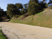 Enlarge photo 94