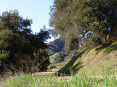 Enlarge photo 98