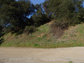 Enlarge photo 102
