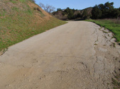 Enlarge photo 103