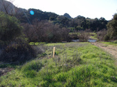 Enlarge photo 104