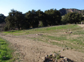 Enlarge photo 105