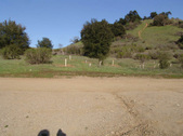 Enlarge photo 107