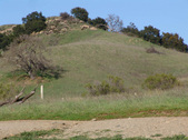 Enlarge photo 109