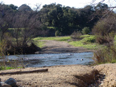 Enlarge photo 113