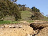 Enlarge photo 115