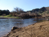 Enlarge photo 116